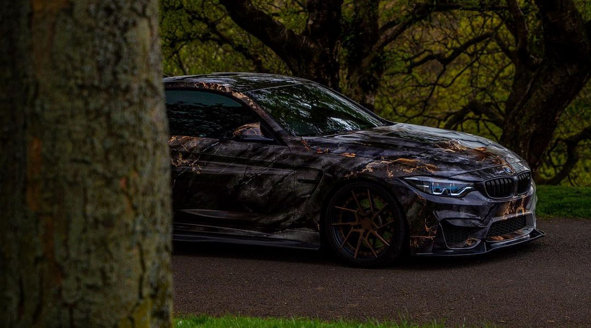 Vehicle Wrap