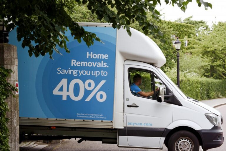 AnyVan Livery