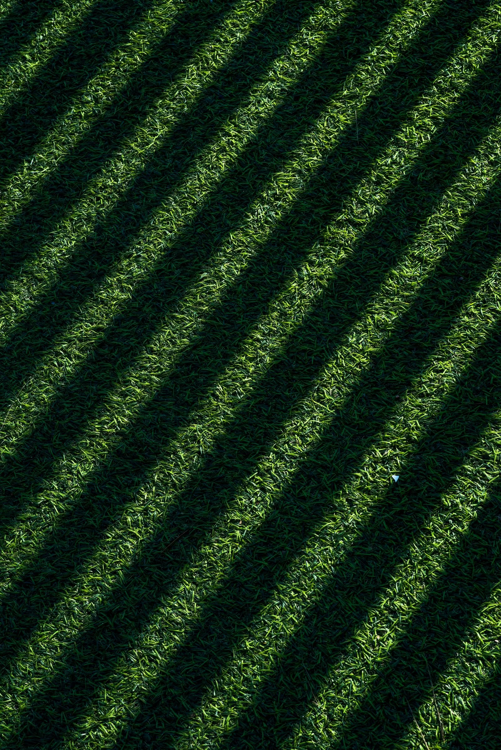 Freshly mown stripes on a cricket outfield in low sunlight