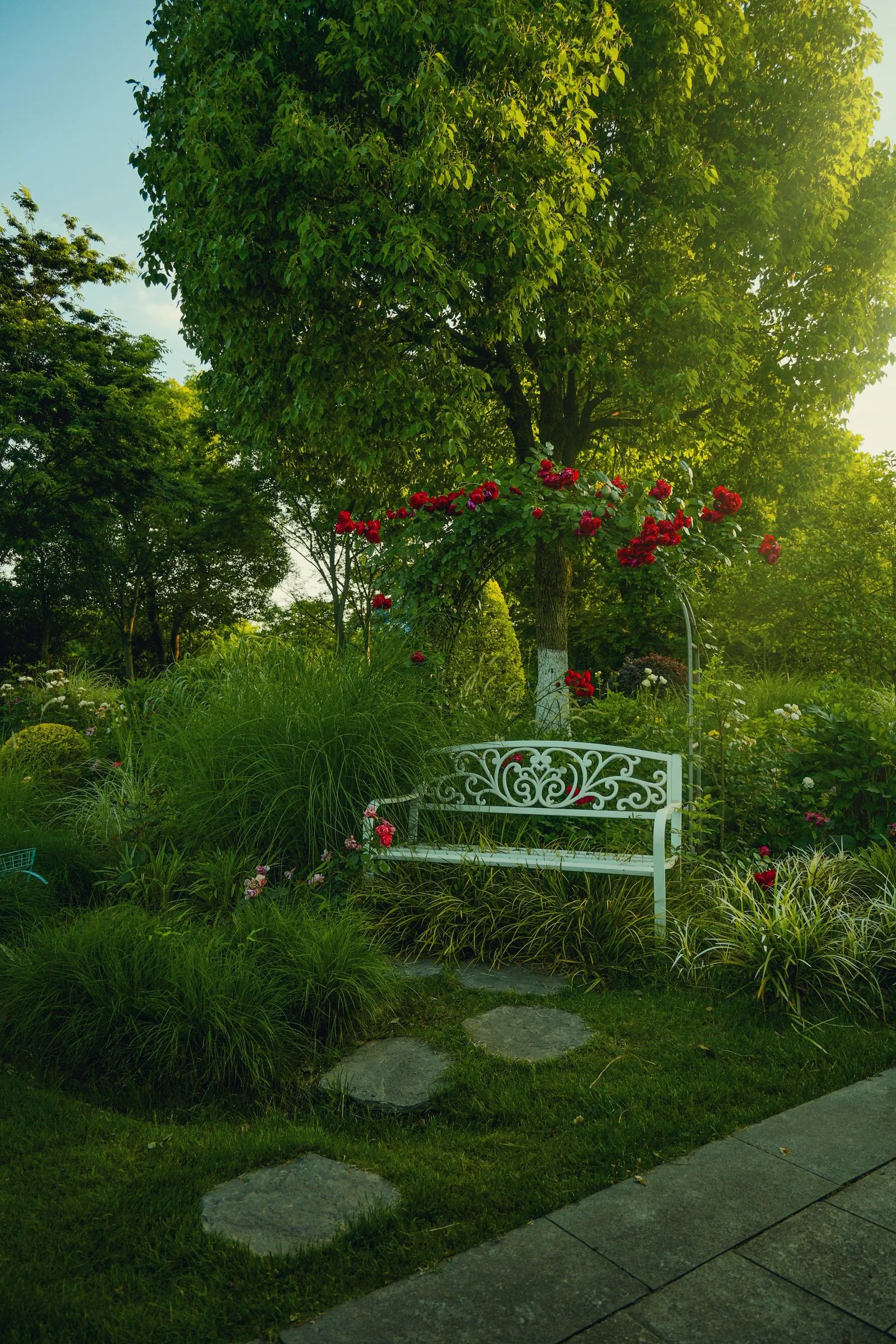 Tranquil garden with white bench and climbing roses